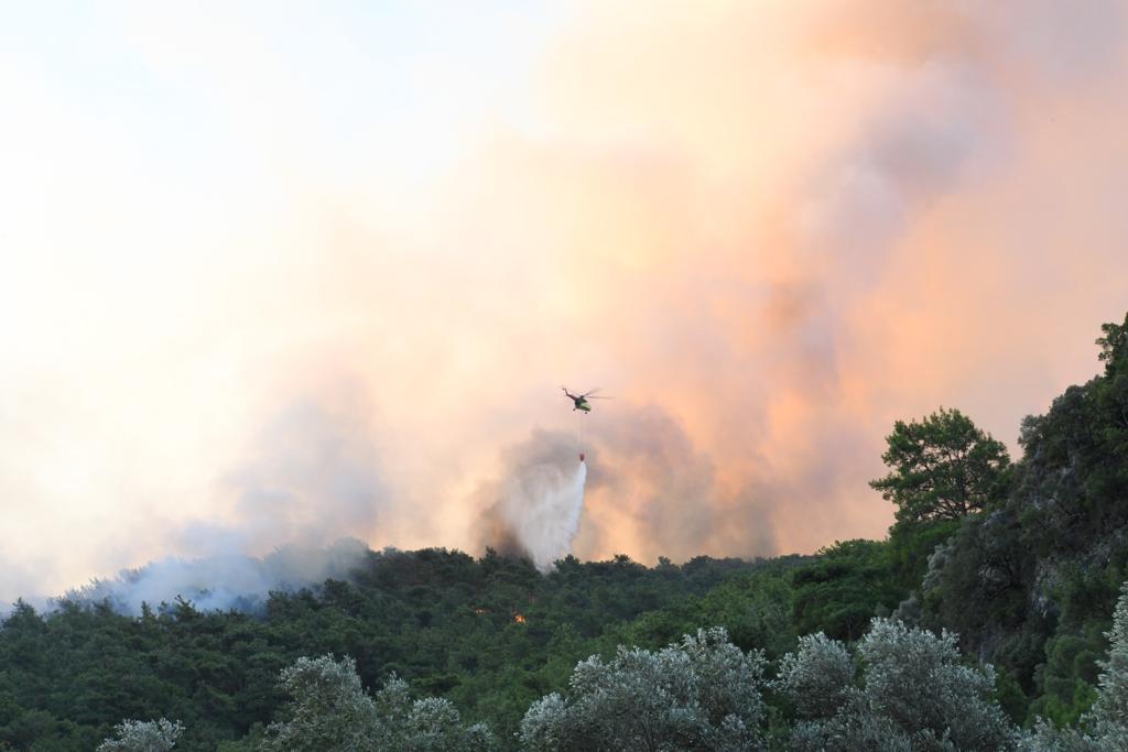 Ula’daki orman yangını kontrol altına alındı