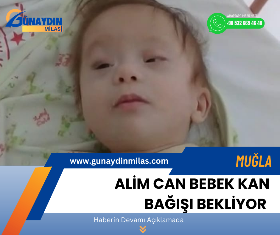 Alim Can bebek kan bağışı bekliyor 