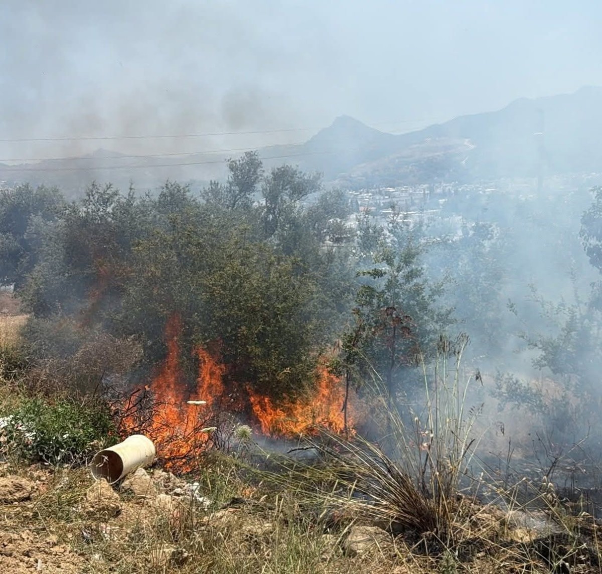 Bodrum’da Elektrik Tellerinden Çıkan Yangın Kontrol Altına Alındı