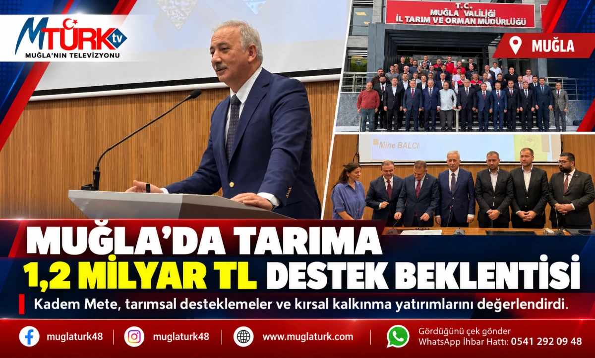 Kadem Mete: 