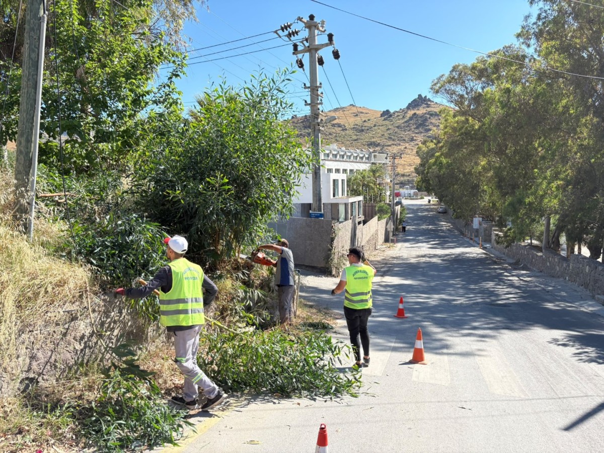 Bodrum’da Ot Temizliği Çalışmaları Tüm Hızıyla Devam Ediyor