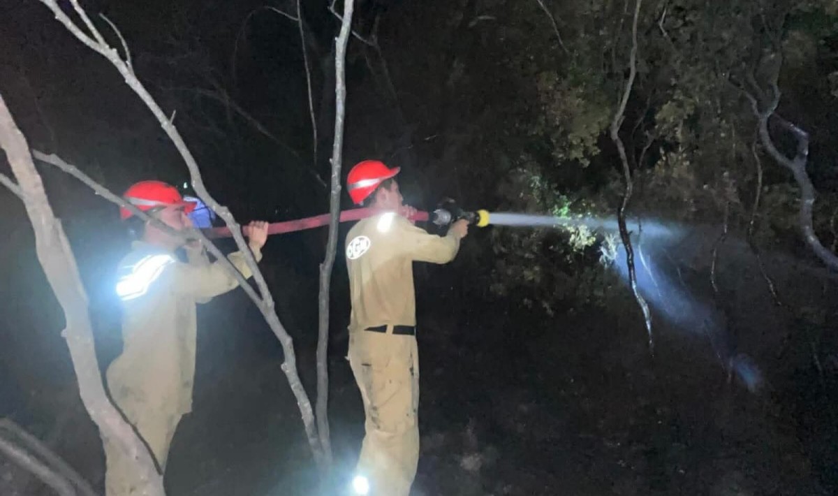 Dalaman’da Çıkan Orman Yangını Büyümeden Söndürüldü