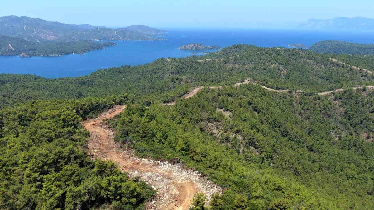 Muğla Orman Bölge Müdürlüğü’nün Yangın Emniyet Şeridi Çalışmaları TRT Haber’de